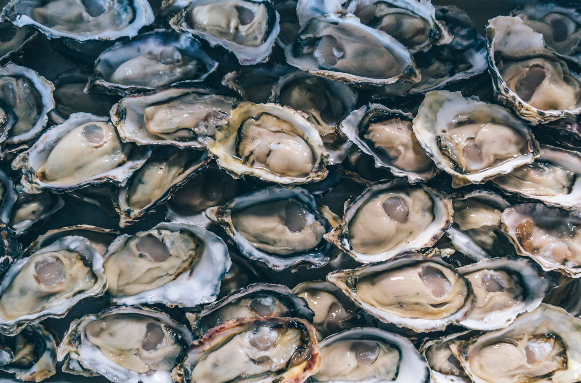 カキ・白子フェア